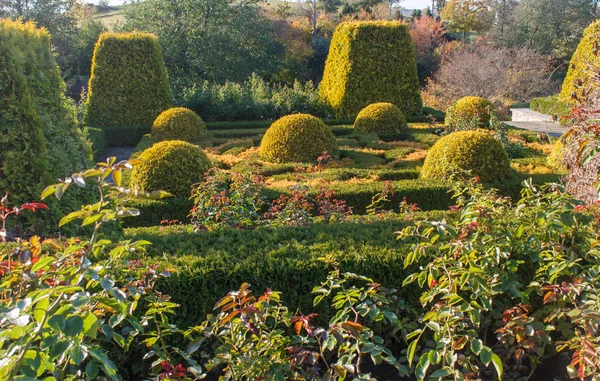 Cottage garden with topiary and trimmed bushes.