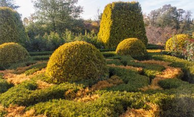 Topiary ve kesilmiş çalılar ile Yazlık bahçe. 