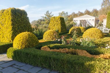 Topiary ve kesilmiş çalılar ile Yazlık bahçe. 