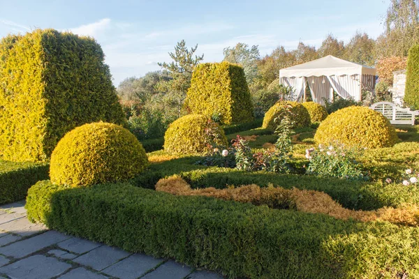 Cottage garden with topiary and trimmed bushes. — Stock Photo, Image