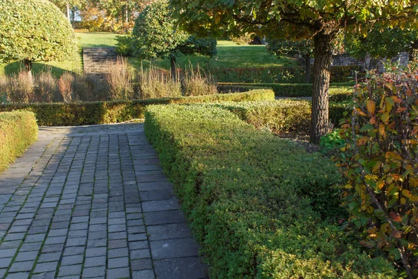 Parque con césped verde, árboles arbustos recortados y alfombra de piedra natural — Foto de Stock