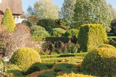 Topiary ve kesilmiş çalılar ile Yazlık bahçe. 
