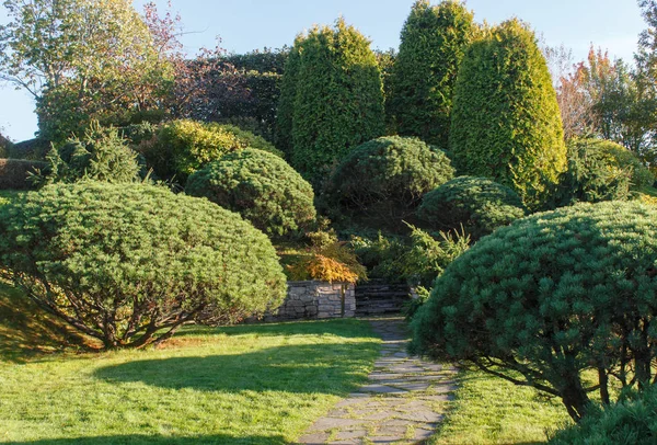 Коттеджный сад с зеленой лужайкой, деревьями и подстриженными кустами . — стоковое фото