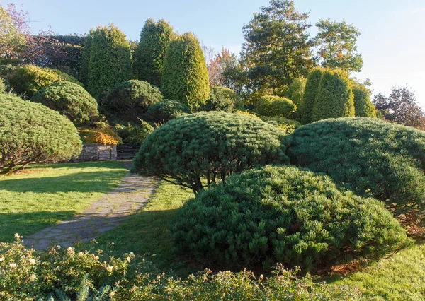 Cottage jardín con césped verde, árboles y arbustos recortados . — Foto de Stock