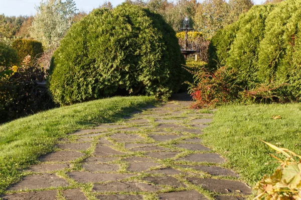 Park with green lawn, trees trimmed bushes and natural stone pat