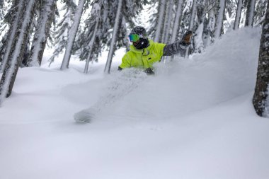 Parlak sarı ceket ve neon ile yoğun Pacific Northwest ormanda taze kar yağışı kişini koruyucu gözlük