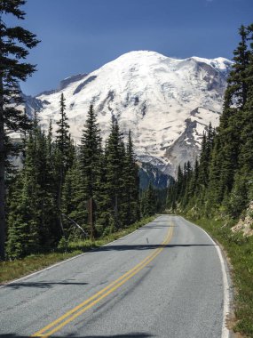 Seattle Washington yakınındaki doğal görünümü ile dünya ünlü dağ