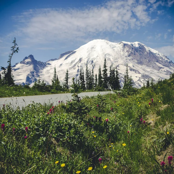 Foto Artística Flores Temporada Por Popular Montaña Senderismo Cerca Seattle —  Fotos de Stock