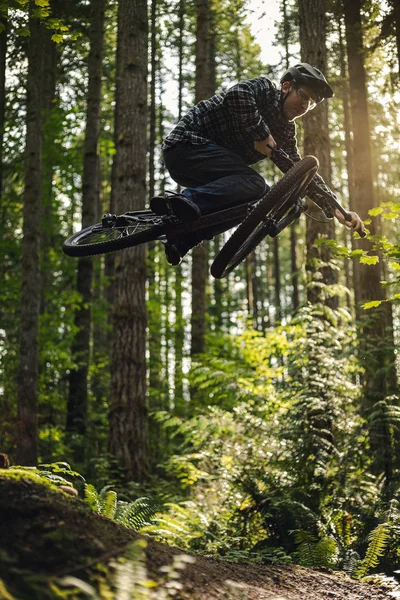 Ormanda Altın Saat Işığıyla İnanılmaz Dağ Bisikleti Atlama Numarası