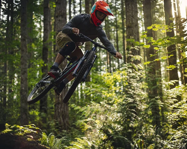 Ciclismo di montagna intenso Equitazione cattura aria sul sentiero forestale Fotografia Stock