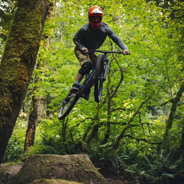 Sportowiec ekstremalnych połowów powietrza na Forest Mountain Bike Jump Zdjęcia Stockowe bez tantiem