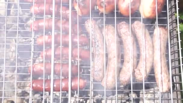 Salsicce e cevapcici fritti alla griglia su griglia di ferro — Video Stock