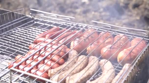 Salsicce e cevapcici fritti alla griglia su griglia di ferro  . — Video Stock