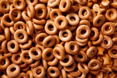 Gösterişli küçük kuzular. Yüksek kalite fotoğraf