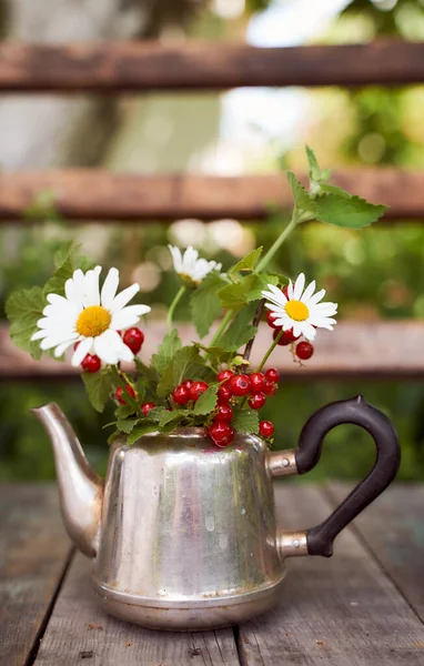 Kamomill Citronmeliss Och Rödvinbärsbuskar Järnvattenkokare Naturen Suddig Bakgrund Högkvalitativt Foto — Stockfoto