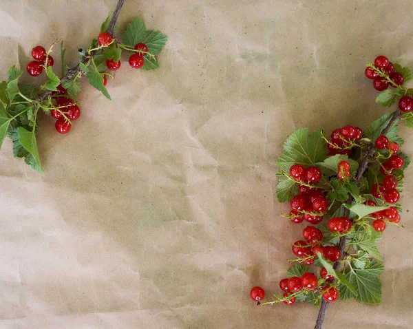 Red Currant Lies Brown Paper High Quality Photo — Stock Photo, Image