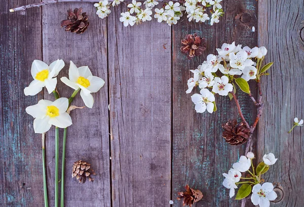 Vackra Vita Påskliljor Och Blommande Grenar Äpple Och Körsbär Ligger — Stockfoto