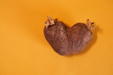 Çatal ve bıçakla sarı arka planda kalp şeklinde çirkin, sade patatesler. Yüksek kalite fotoğraf