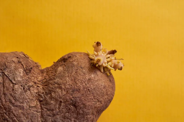 Batatas Planas Feias Forma Coração Fundo Amarelo Foto Alta Qualidade — Fotografia de Stock