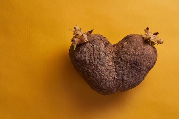 ugly plain potatoes in the shape of a heart on yellow background. High quality photo