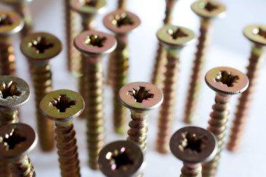 Beyaz bir yüzeye vidalanmış vidalar. Üst manzara. Yüksek kalite fotoğraf