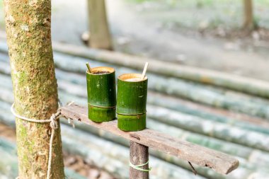 Yeşil Bambu silindir kahve, çay bardağı, Dağ Manzaralı arka plan bambu doğa ürün