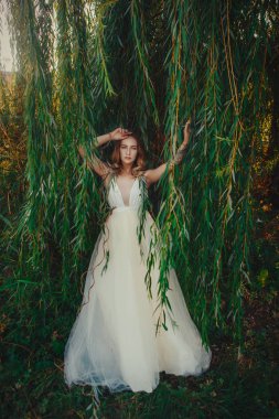 Güzel bayan bir söğüt poz