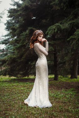 Güzel bir kahverengi saçlı Bayan portresi