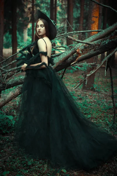 Молодая Девушка Позирует Черном Платье Темном Лесу — стоковое фото
