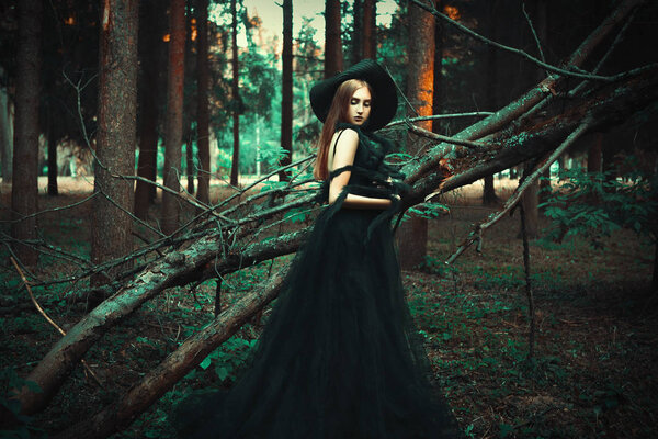 Young girl is posing wearing black dress in a dark forest
