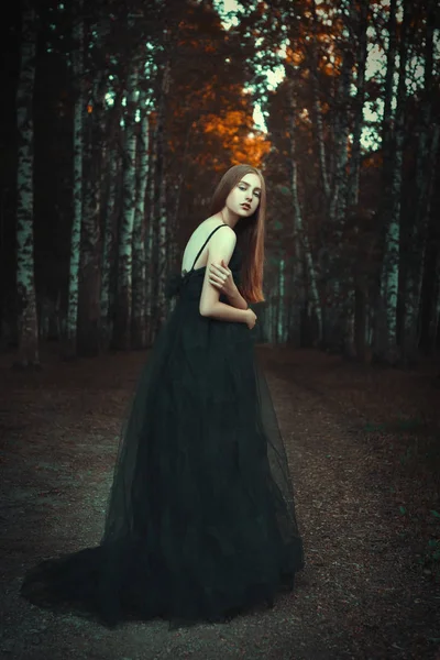 Menina Está Posando Vestindo Vestido Preto Uma Floresta Escura — Fotografia de Stock