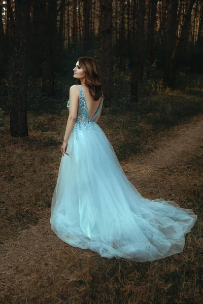 Krásná dívka pózuje v měkkých modrých šatech v lese — Stock fotografie