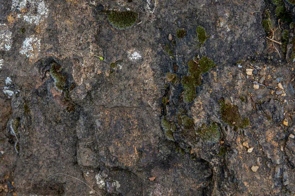 El fondo y la textura de piedra oscura áspera primer plano —  Fotos de Stock