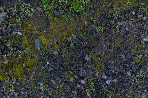 La texture des routes rurales avec de petites pierres et de l'herbe entre les deux — Photo