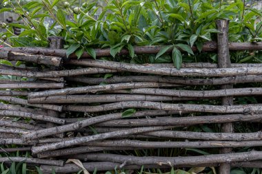 Örülmüş ahşap çitler ve arkasında yeşil bitkiler var.