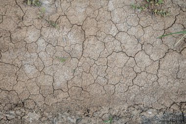 Çatlak toprağın dokusu ve arkaplanı yağmurla ıslanmış.