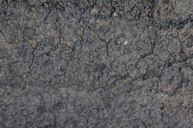 Çatlak toprağın dokusu ve arkaplanı yağmurla ıslanmış.