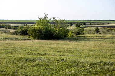 Gökyüzünün altında güzel bulutları olan manzara çayırları.