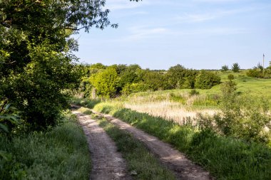 Asfaltsız toprak yol güzel bir çayırdan ve ağaçlardan geçer.
