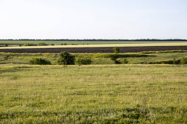 Gökyüzünün altında güzel bulutları olan manzara çayırları.