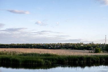 Gökyüzünün altında güzel bulutları olan manzara çayırları.