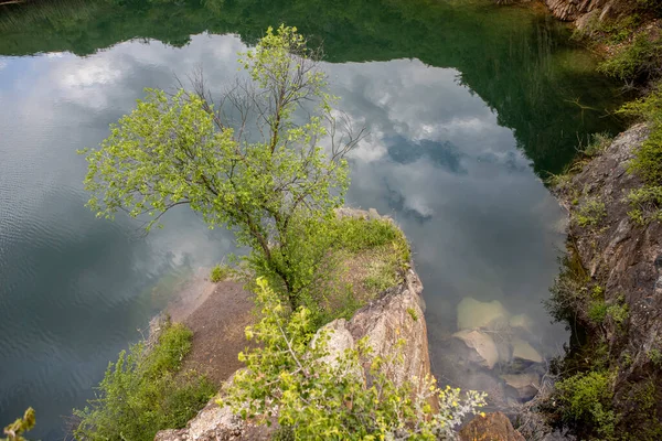 Prachtig stenig strand, rotsachtige richel met mooie bomen — Stockfoto