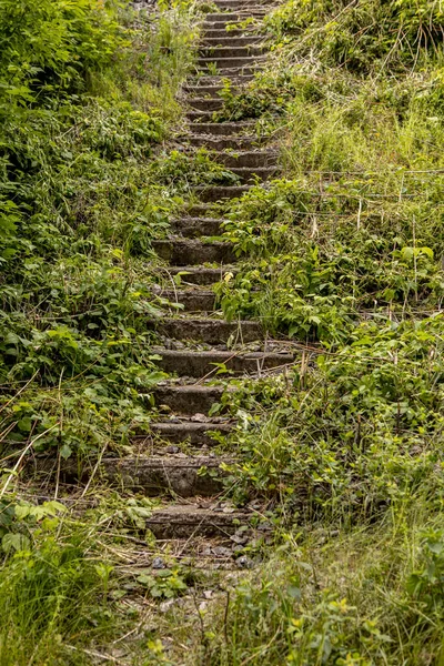 Passos de pedra velhos cobertos. A metáfora da escada da carreira — Fotografia de Stock