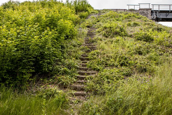 Überwucherte alte Steinstufen. Die Metapher der Karriereleiter — Stockfoto