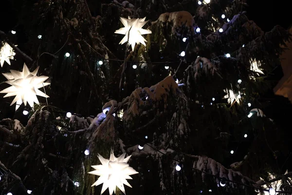 Gyönyörű ragyogó csillagok a havas fán. Téli varázslat — Stock Fotó