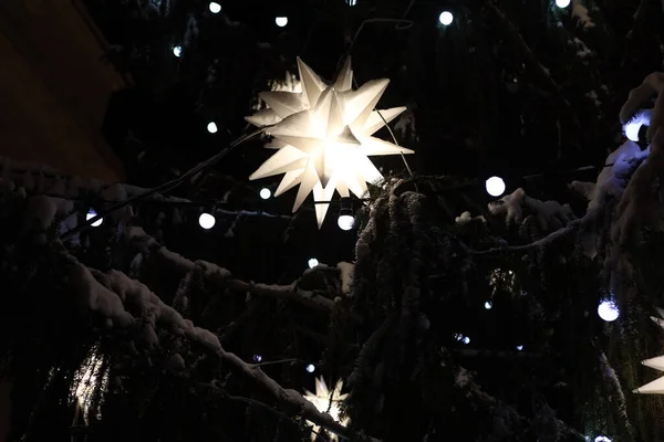 Beautiful glowing stars on snowy tree. Winter magic — Stock Photo, Image