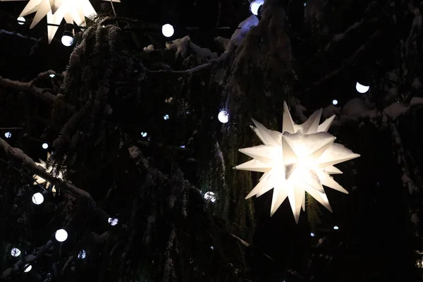 Beautiful glowing stars on snowy tree. Winter magic — Stock Photo, Image