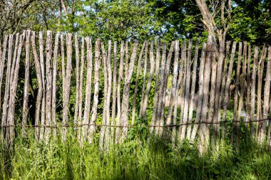 Güneş ışığında eski ahşap çit.