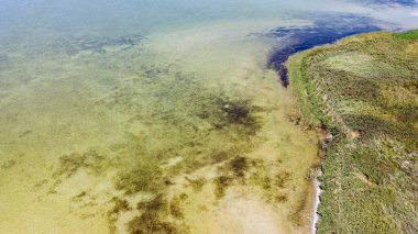 Güzel, sığ bir göl ve kumlu ve otlu bir sahil manzarası.