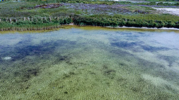 Riva di un lago pulito con acqua limpida, vista a volo d'uccello — Foto Stock